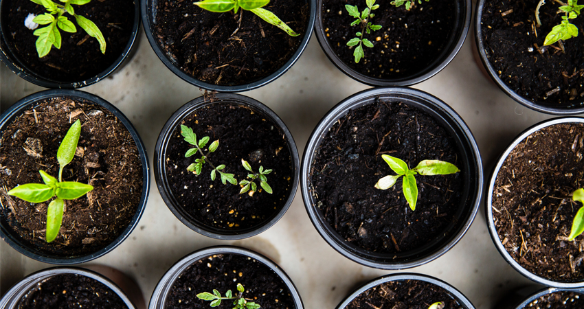 12 Projects to Get Ready for Spring From Michigan Home Bloggers