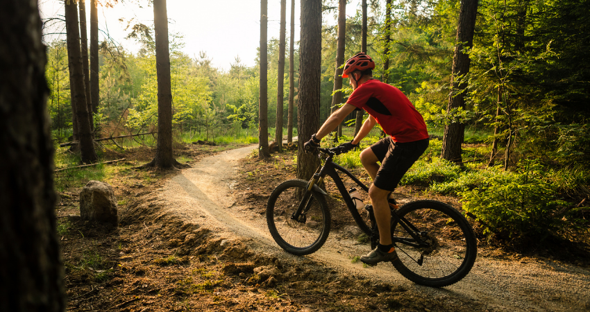 10 of the Best Places to Go Cycling in the Ann Arbor Area